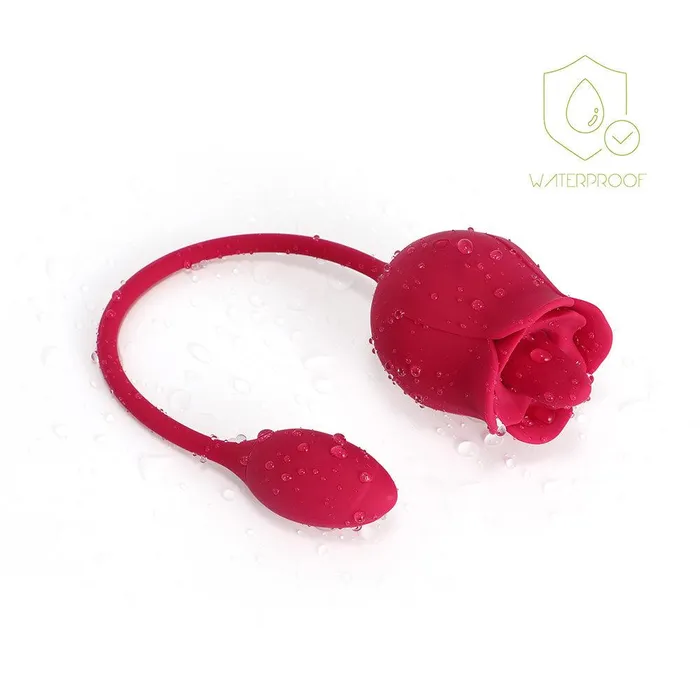 Honey Play Box Vibrators FIONA