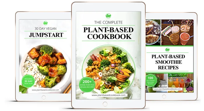Barrys digital downloads Vibrators 100 Vegan Recipes