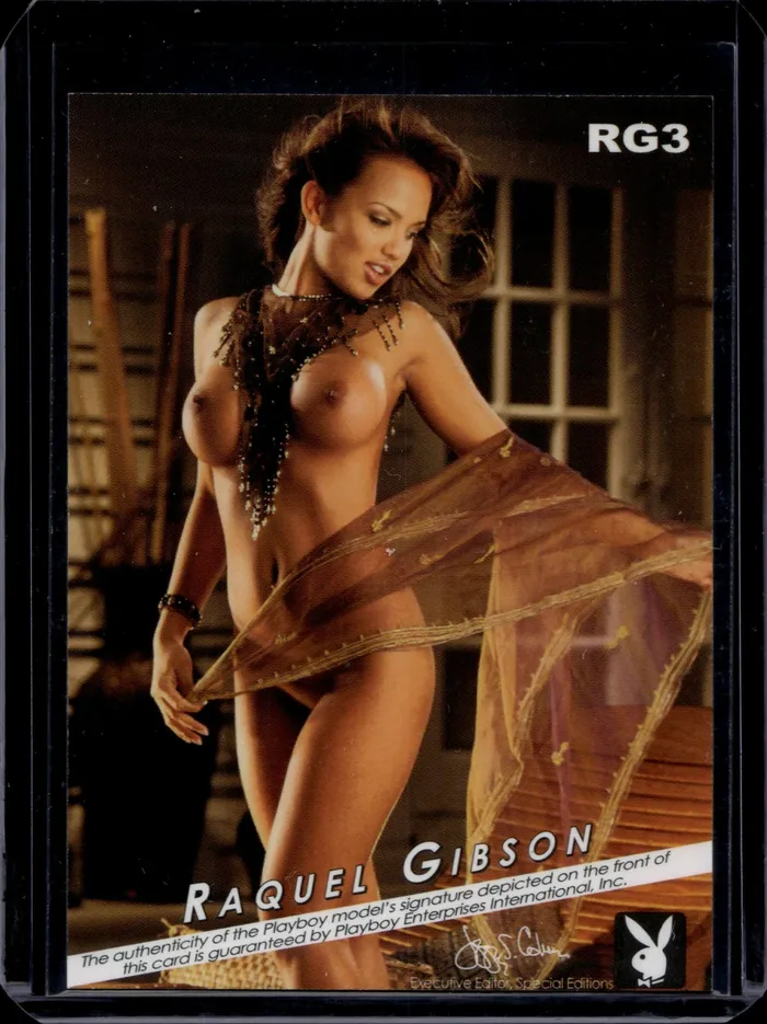 Dans Cards Dildos Playboys The Book of Lingerie Volume 1 Raquel Gibson Platinum Foil Autograph Insert Card RG3