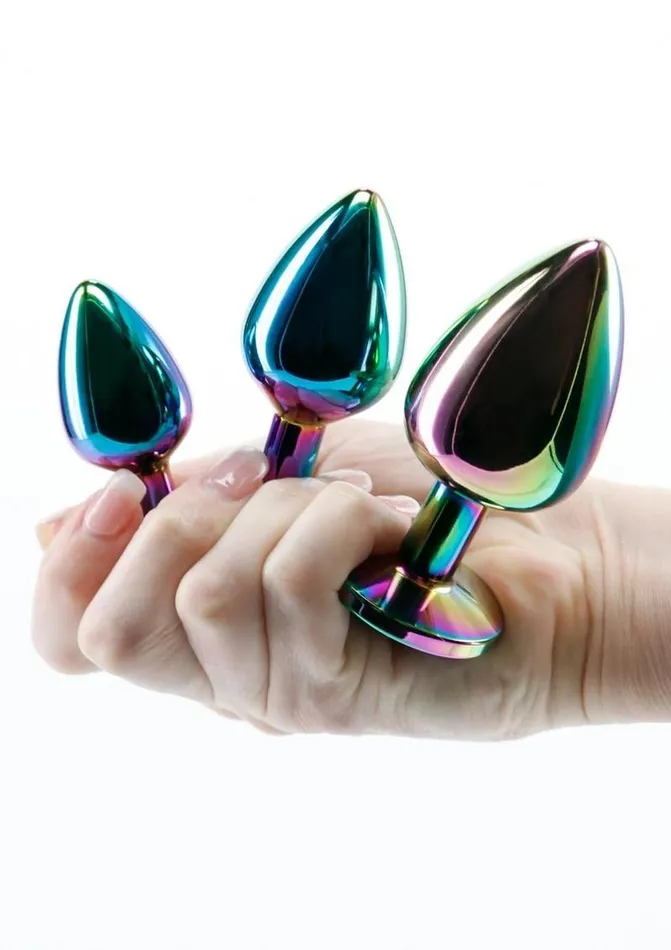 Anal NS Novelties Rear Assets Aluminum Anal Plug Trainer Kit