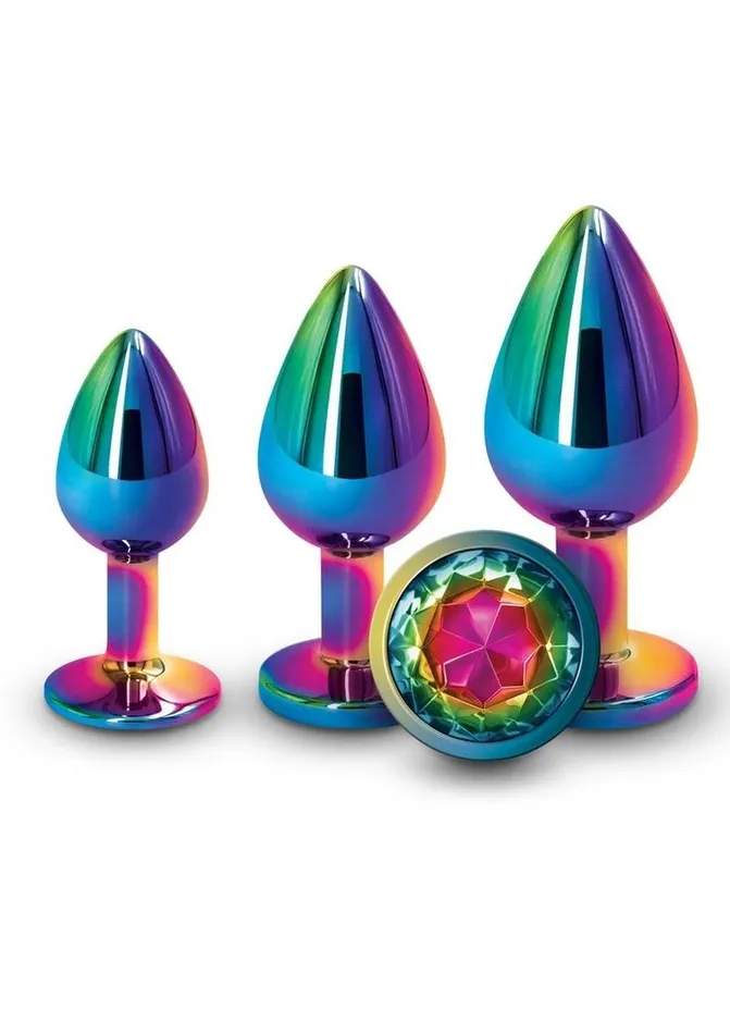 Anal NS Novelties Rear Assets Aluminum Anal Plug Trainer Kit