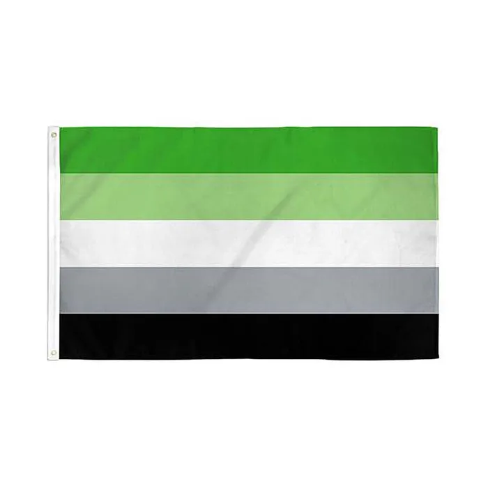 Flags Importer 3 x 5 Aromantic Pride Flag Flags Importer Vibrators