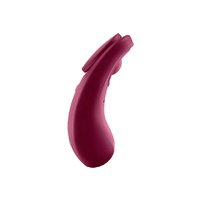 Vibrators Satisfyer Sexy Secret AppControlled Satisfyer