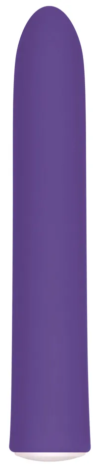 Female Sex Toys Evolved Novelties Rechargeable Slim