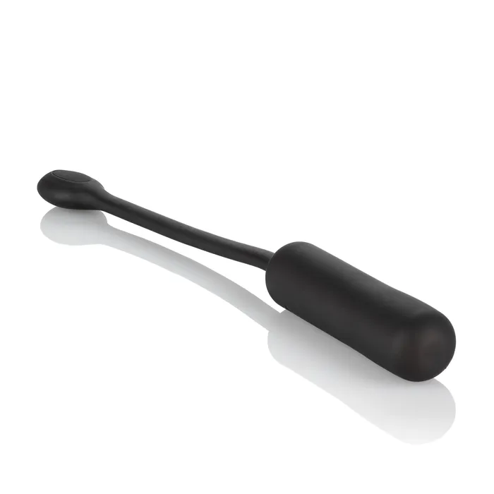 Female Sex Toys Wristband Remote Petite Bullet CalExotics Female Sex Toys Wristband Remote Petite Bullet CalExotics
