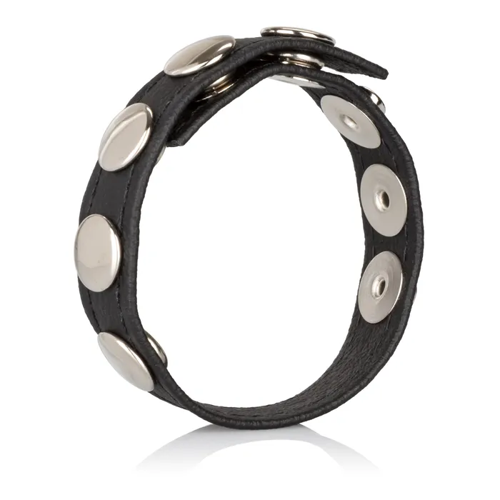 Leather MultiSnap Ring CalExotics Male Sex Toys Leather MultiSnap Ring CalExotics Male Sex Toys