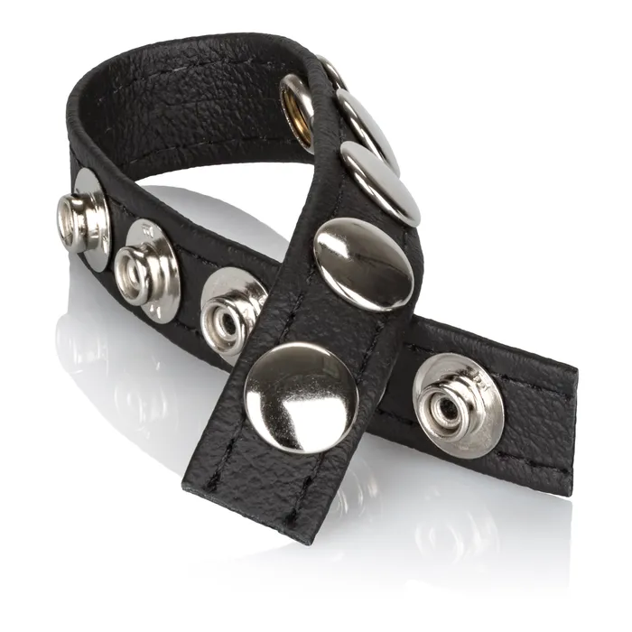 Leather MultiSnap Ring CalExotics Male Sex Toys Leather MultiSnap Ring CalExotics Male Sex Toys