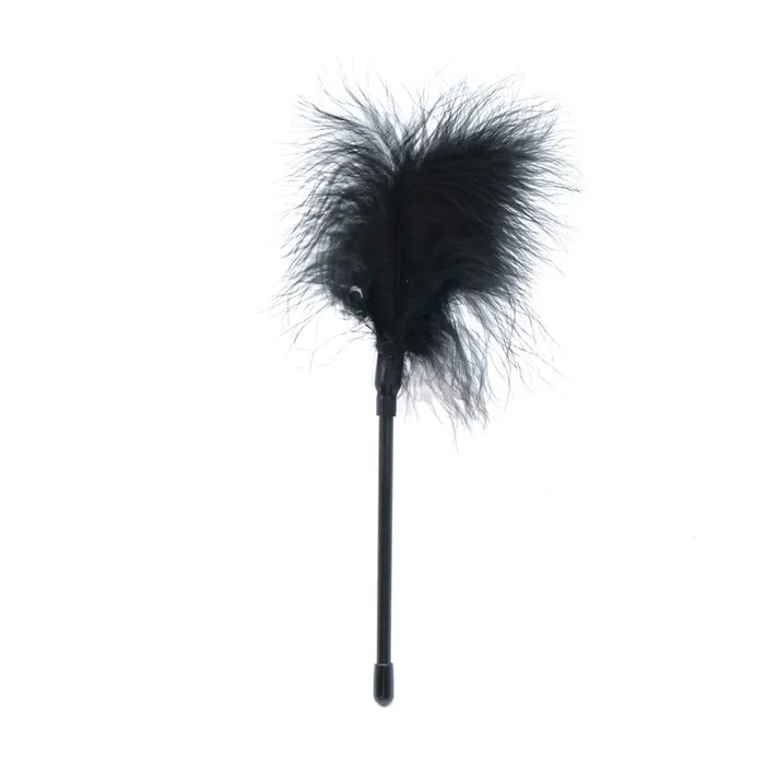Anal Secret Pleasure Chest Black Fantasy