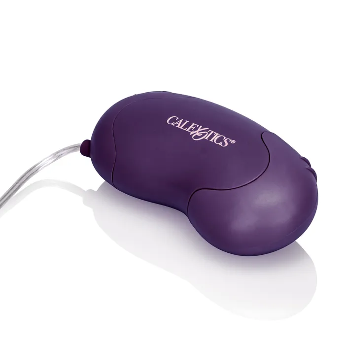 Female Sex Toys Calexotics Silver Bliss Bullet 2Speed Waterproof Fun
