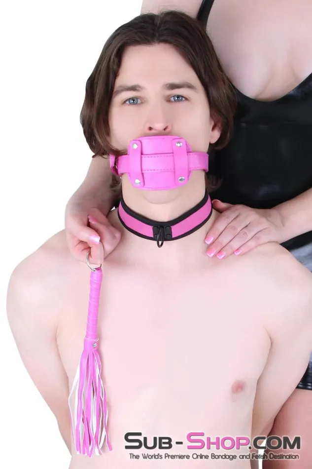 Raysent Vibrators 6878RSSIS Itty Bitty Whippy Pretty Sissy Hot Pink Mini Whip