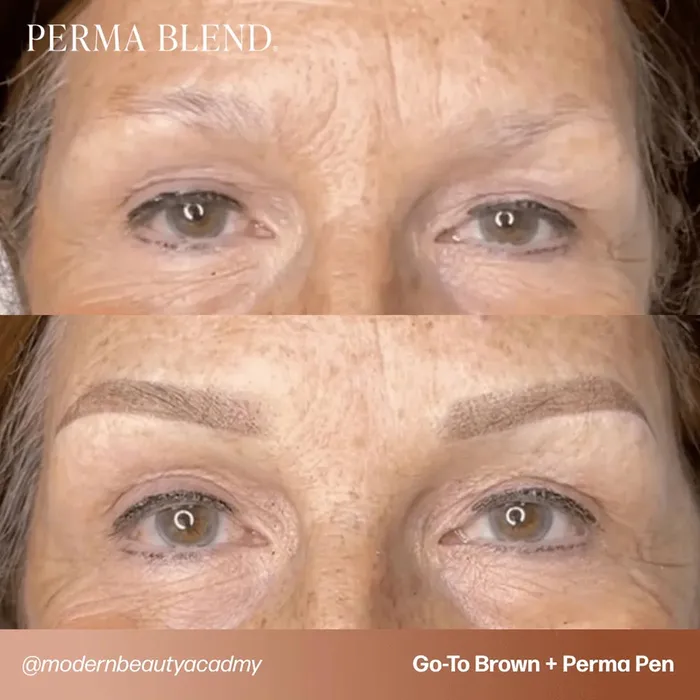Anal Perma Blend LUXE Brow Perma Pen Training Kit Perma Blend 12oz