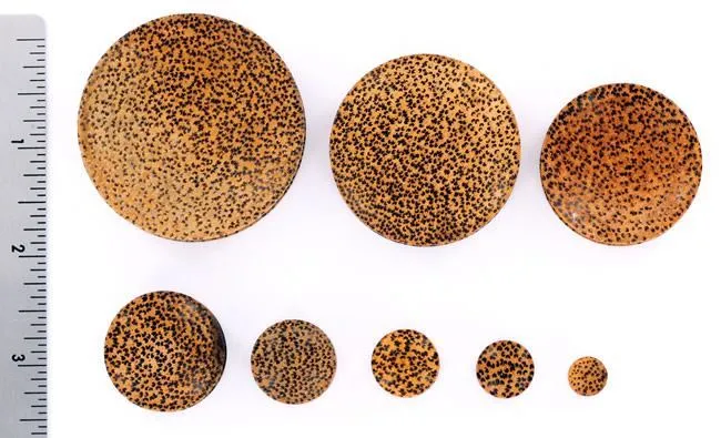 Elementals Organics Solid Coconut Wood Plug Price Per 1 Anal