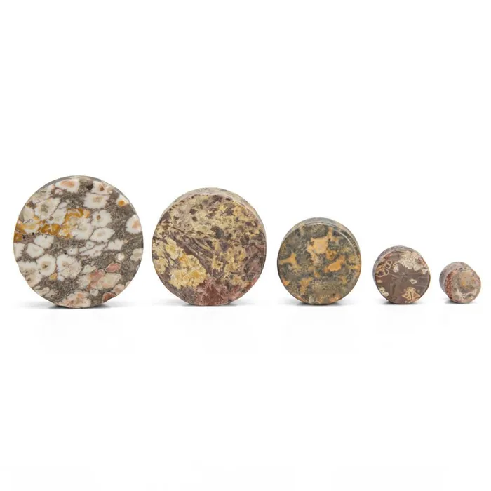 FOSSIL PLUG STONE Double Flare Plugs 10g 1 Price Per 1 Painful Pleasures Anal
