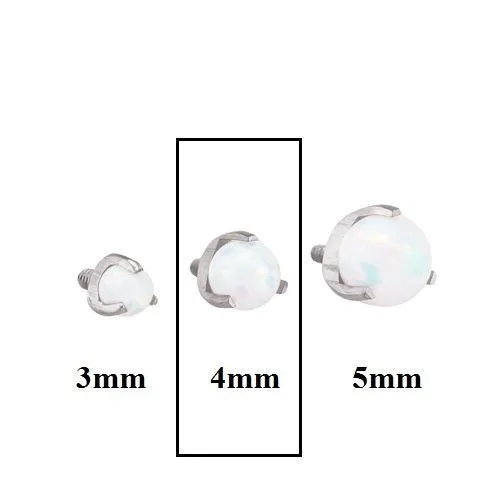 Male Sex Toys Painful Pleasures 14g12g Internally Threaded 4mm ProngSet Opal Ball Price Per 1 Male Sex Toys Painful Pleasures 14g12g Internally Threaded 4mm ProngSet Opal Ball Price Per 1