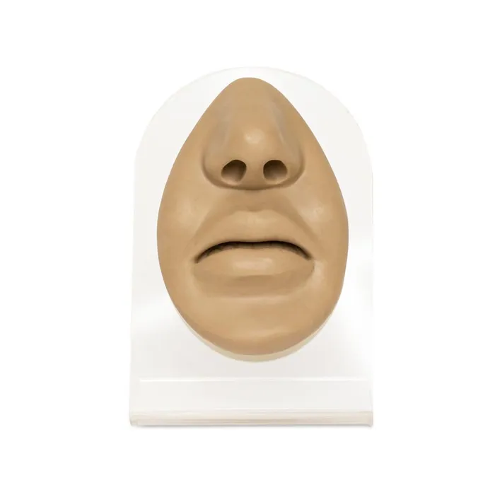 Painful Pleasures Female Sex Toys Silicone Nose and Lips Display Tan Body Bit Version 1 Painful Pleasures Female Sex Toys Silicone Nose and Lips Display Tan Body Bit Version 1