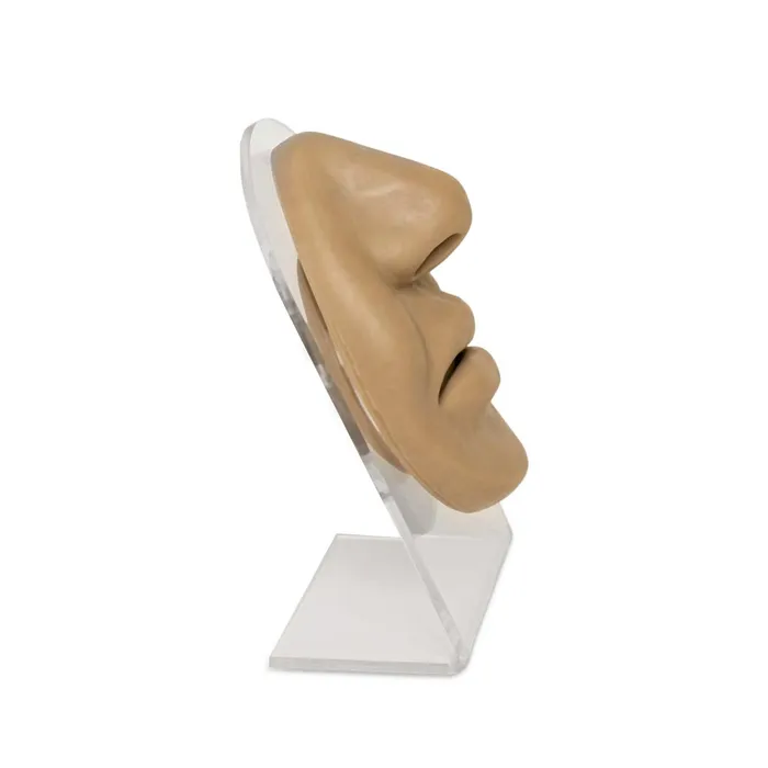 Painful Pleasures Female Sex Toys Silicone Nose and Lips Display Tan Body Bit Version 1
