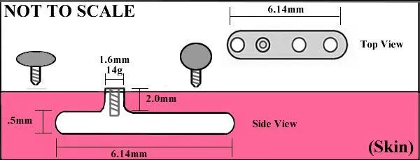 Painful Pleasures Male Sex Toys 14g 12g Internally Threaded 5mm Steel Half Ball Price Per 1