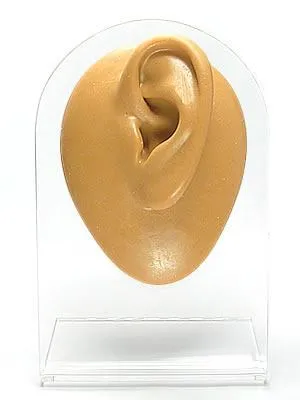Silicone Left Ear Display Tan Body Bit Version 1 Painful Pleasures Female Sex Toys Silicone Left Ear Display Tan Body Bit Version 1 Painful Pleasures Female Sex Toys