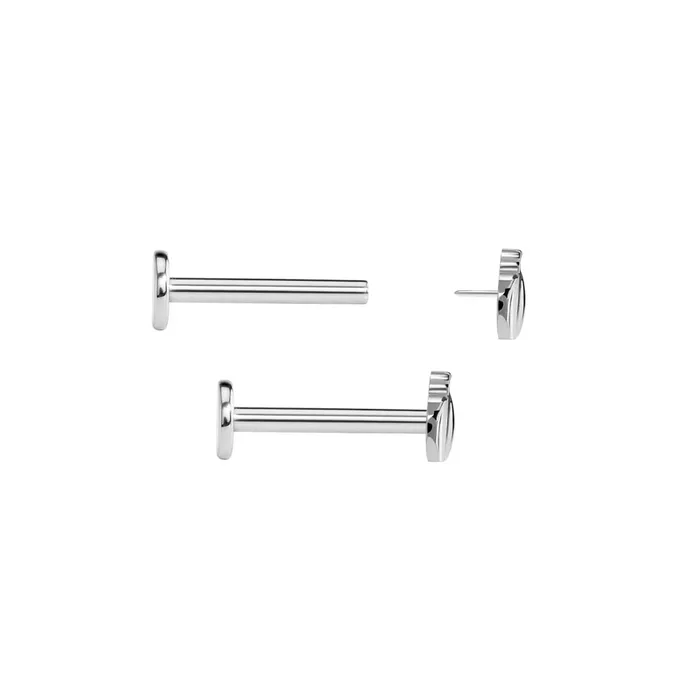 Tilum Vibrators Tilum Pumpkin Titanium Threadless Top Price Per 1