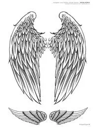 Vibrators 3ntini Angels and Wing Designs Softcover Book