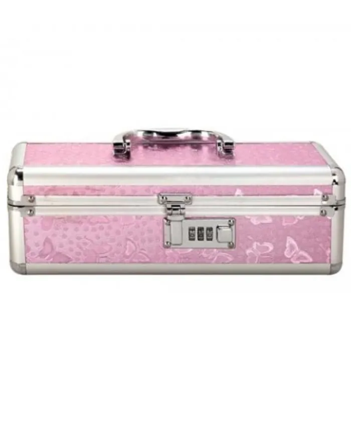 Vibrators BMS Enterprises Lockable Vibrator Case Small Pink