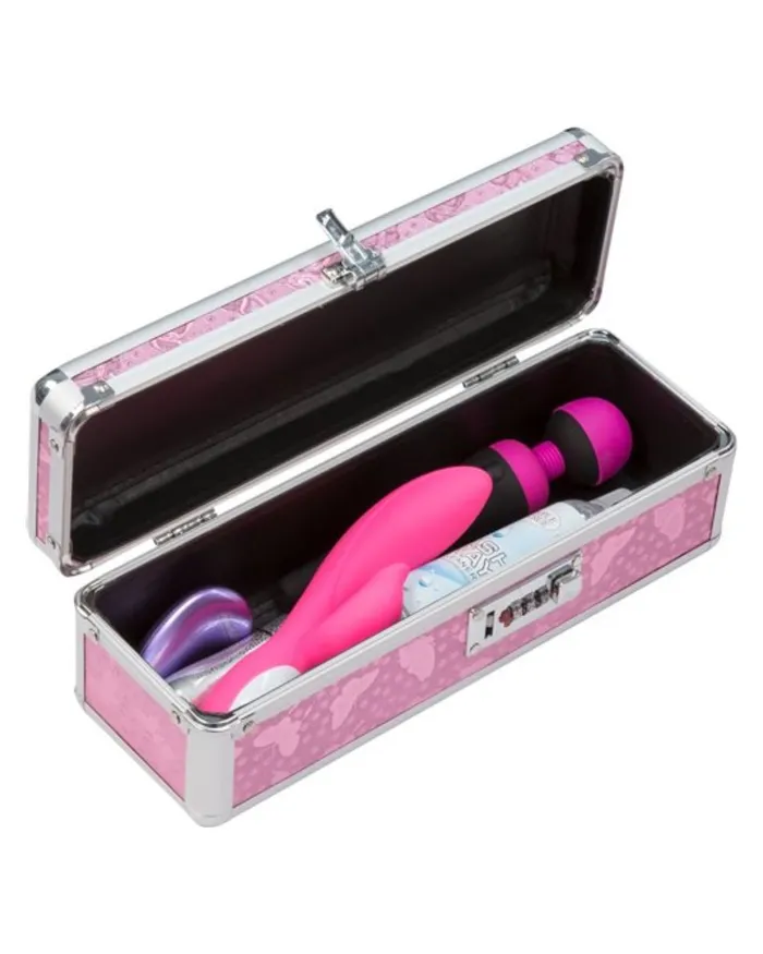 Vibrators BMS Enterprises Lockable Vibrator Case Small Pink