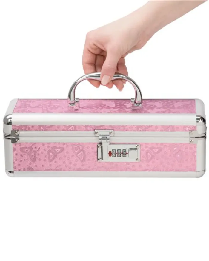Vibrators BMS Enterprises Lockable Vibrator Case Small Pink