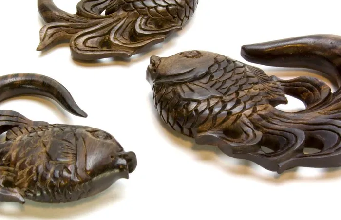 Vibrators Elementals Organics Koi Fish Areng Wood Ear Hanger 3mm12mm Price Per 1 Vibrators Elementals Organics Koi Fish Areng Wood Ear Hanger 3mm12mm Price Per 1