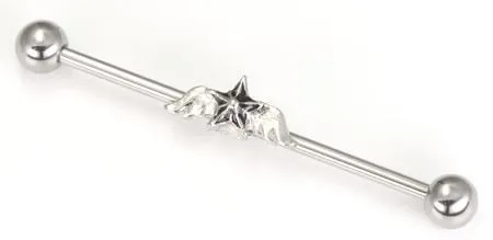 Vibrators Painful Pleasures 14g 15 Winged Star Industrial Barbell