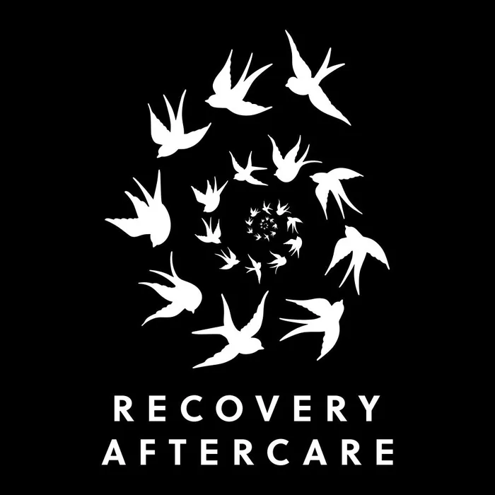 Vibrators Recovery Recovery Brand ShortSleeved Tee